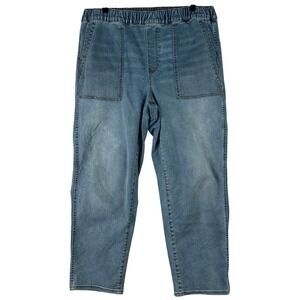 Madewell Pull-On Denim‎ Jeans Womens L Light Blue Casual Relaxed Comfort